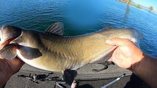 Best and Fastest Way to Clean a Catfish!!!