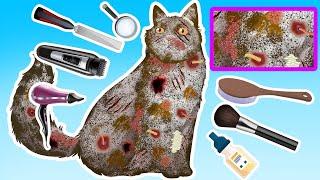 ASMR Animation: Grooming, killing bugs, bathing stray cats | Animals care