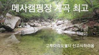 포천 메사캠핑장    고투 마리오쉘터    파이어쉘터  암막효과도 굳굳