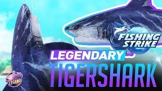 《釣魚大亨 Fishing Strike》 Legendary fish Predator Tiger shark catch