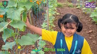 Educational field trip || Topic : Plants || Fly 2  || Madayippara || Little buds  || Kindergarten