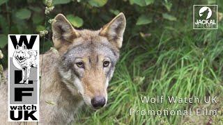 Wolf Watch UK Promotional Film