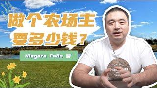 在大瀑布地区买个农场，需要多少钱？瀑布篇！很多朋友都有个 农场梦，Niagara Falls 的农场价格如何？