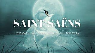 (一小時版本）聖桑 (動物狂歡節)  天鵝 - Saint-Saëns The Carnival of the Animals - XIII. The Swan