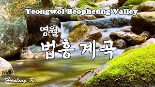 4k 영월 법흥계곡 |  Yeongwol Beopheung Valley | 계곡물소리 ASMR