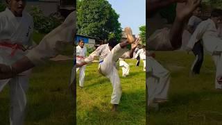  Karate training | martial arts training #karate #training #discipline #martialarts #shorts #mma