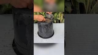 It's creative tips - Very satisfying results from bucket with cement #how #diy #cementpot #shorts