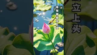 《小池》#古诗 #古诗词 #小池 #宋诗 #宋 #宋代 #诗人 #杨万里 #每天一首古诗词 #儿童启蒙 #小学 #必背古诗 #古诗背诵 #唐诗三百首 #古诗动画 #小学语文 #古诗学习 #学习 #语文