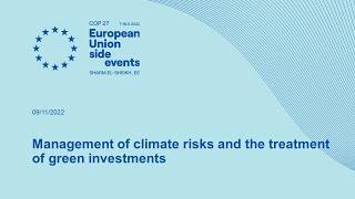 Management of climate risks and the treatment of green investments