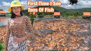 Big Surprise With The Beauty Of Golden Fish Resort | Thyda Cooking TV |