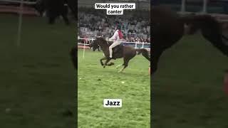 Which horse would you canter #shorts #viral #horses #canter