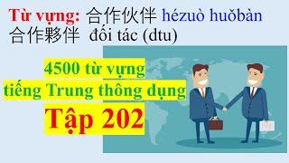 4500 từ vựng tiếng Trung thông dụng - Tập 202