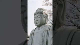 Great Buddha of Kamakura in Cherry Blossom Season #beautifuldestinations #travel #bucketlist