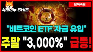 [시바이누 코인] ETF 승인 시 "3,000%" 급등! 지금 사야 된다! 비트코인 ETF 자금 유입!