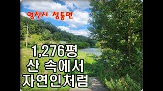 (영천착한부동산)NO.849/1,276평 산 속에서 자연인처럼....