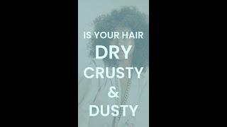 Do You Have Dry Crust Or Dusty Hair? Try Phamily Hair Care Jar | All-Natural Ingredients #shorts