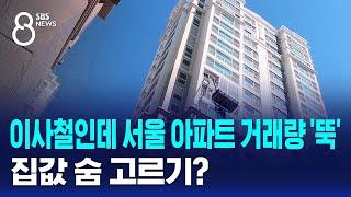 이사철인데 서울 아파트 거래량 '뚝'…집값 숨 고르기? / SBS 8뉴스