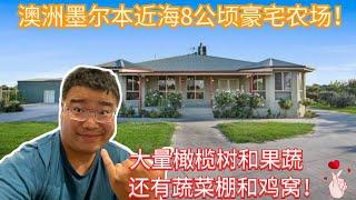 澳洲墨尔本近海8公顷豪宅农场！大量橄榄树和果蔬，还有蔬菜棚和鸡窝！