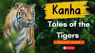 Kanha National Park | Kanha Jungle Safari | Kanha Tiger Safari | Vlog | Kanka Kisli National Park