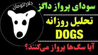 تحلیل داگز | DOGS روی حمایت | حرکت بعدی ارز داگز چیست؟