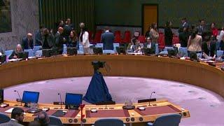 Vote à l'ONU pour un cessez-le-feu à Gaza : veto des USA