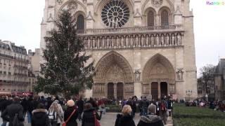 All bells ringing at Notre Dame Cathedral in Paris