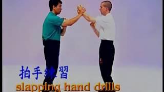 Slapping Hand Drills 3 - Pak Sau 3