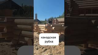 канадская рубка / ГК Эверест / строительство загородных домов