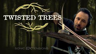 TWISTED TREES Introduction | Sonic Extensions