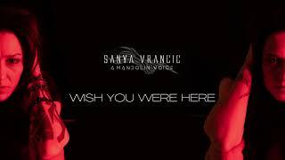 SANYA VRANCIC - Wish You Were Here (MANDOLIN COVER)