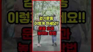 걷기운동 이렇게 하세요!! 운동효과 더욱 높이는 방법 #걷기운동 #건강정보 #걷기