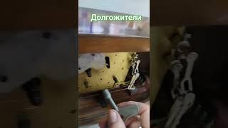 Долгожители на Соколе! #винтажныйунивермагсокол #подарки #игрушки