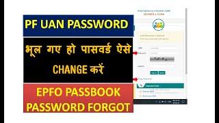 UAN Password Forget, how to recover the forgot password of uan account online