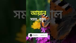 আয়ান নামের ইসলামিক অর্থ কি | Ayan Name Meaning in Bengali #Shorts #Ayan