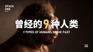 真实还原！地球上曾经存在的9种“人类”