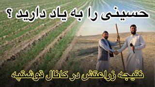 کانال قوش تپه | جمع آوری حاصلات از زمین های زراعتی حسینی در کانال قوش تپه Qosh tepa kanal #کانال