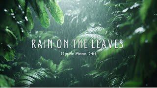 Rain on the Leaves - Gentle Piano Drift | Relaxing Music Loop for Sleep & Relaxation