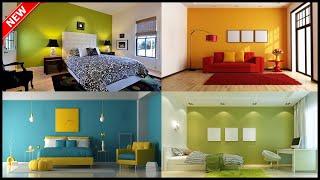 Top 40 Latest  Colour Combination For Room In 2020 Catalogue | Modern Colour | Gopal Home Decor