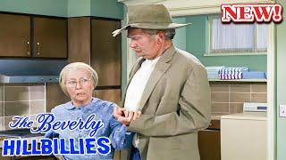 The Beverly Hillbillies 2024️ ️ SS10 - EP 04  ️️ Hot Sitcom TV Series 2024 Full Episodes