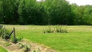 Homes for Sale - 7455 Southfield - Shelby Twp., MI 48316 - Claude Simpson