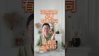 法国房产介绍都会写，有没有官司，什么意思？有官司的也能买吗？