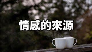 愛情心理學：你能區分情感的來源到底是什麼？Love Psychology: What is the source of emotions that you can distinguish?【愛學習】