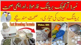 No.1 Organic Breeding Formula for All Birds in Urdu (Fast Eggs & Healthy Chicks) By |Arham|Video.494