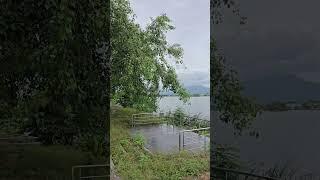 NATURE/Mr and Mrs Bindhu