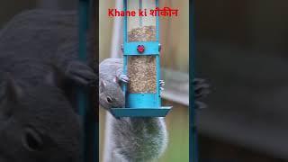 Khane kiशौकीन #kid #viralvideo#viralshort#viralshorts#viralvideos#shortfeed#animation#animal#apple