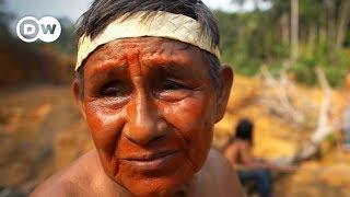 Brazil's indigenous people: 'All of those trees had lives' | DW Stories