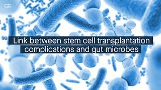 Stem cell transplantation complications are linked to changes in the gut microbiome