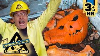 Pumpkin Drop Experiment | Fun with Materials | Full Episodes | Science Max | 9 Story Fun