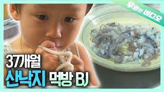 맨손으로 산낙지 집어먹는 37개월 아기┃A 37-Month-Old Baby Eating Alive Octopus