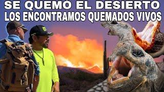 Rescatando Animales De Los Incendios con AVENTURAS AL EXTREMO